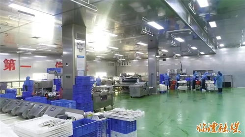 強主體 塑品牌 推項目 臨澧深耕農產品加工產業(yè)見成效