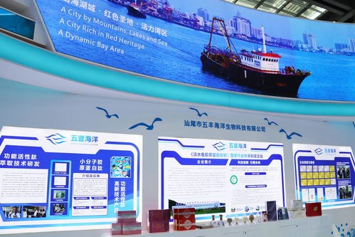 向海圖強(qiáng)，攜手繪就藍(lán)色發(fā)展新畫(huà)卷——深圳汕尾合作助推海洋經(jīng)濟(jì)高質(zhì)量發(fā)展